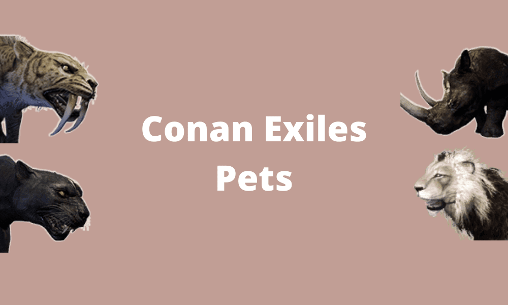 Conan Exiles Pets & Guides